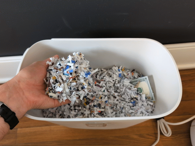Look at these shreds: never ending fun!